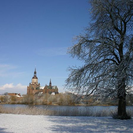 Pension Altstadt Moench In Top Lage Preis Inclusive 5 Prozent Bettensteuer Und Fruehstueck 슈트랄준트 외부 사진